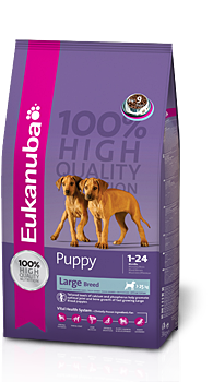 Eukanuba - Puppy & Junior Large Breed, 1 KG